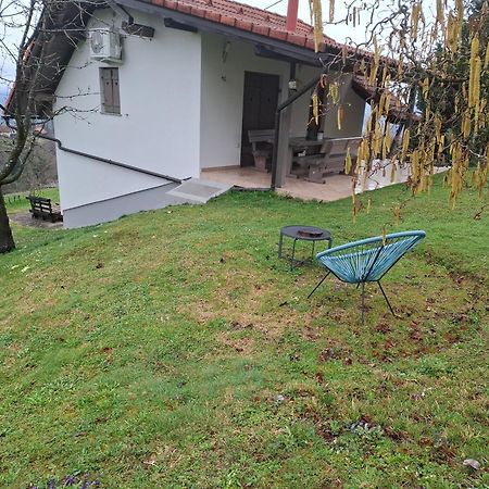 Vineyard Cottage Klemencic Ново-Место Экстерьер фото