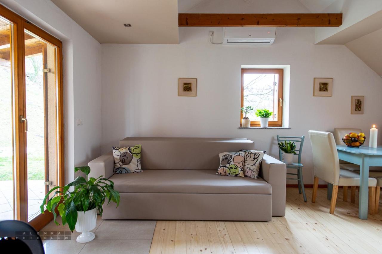 Vineyard Cottage Klemencic Ново-Место Экстерьер фото