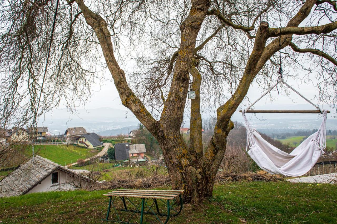 Vineyard Cottage Klemencic Ново-Место Экстерьер фото
