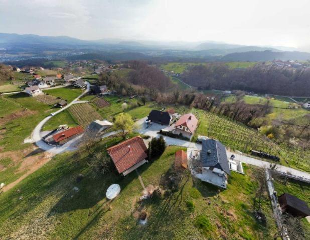 Vineyard Cottage Klemencic Ново-Место Экстерьер фото