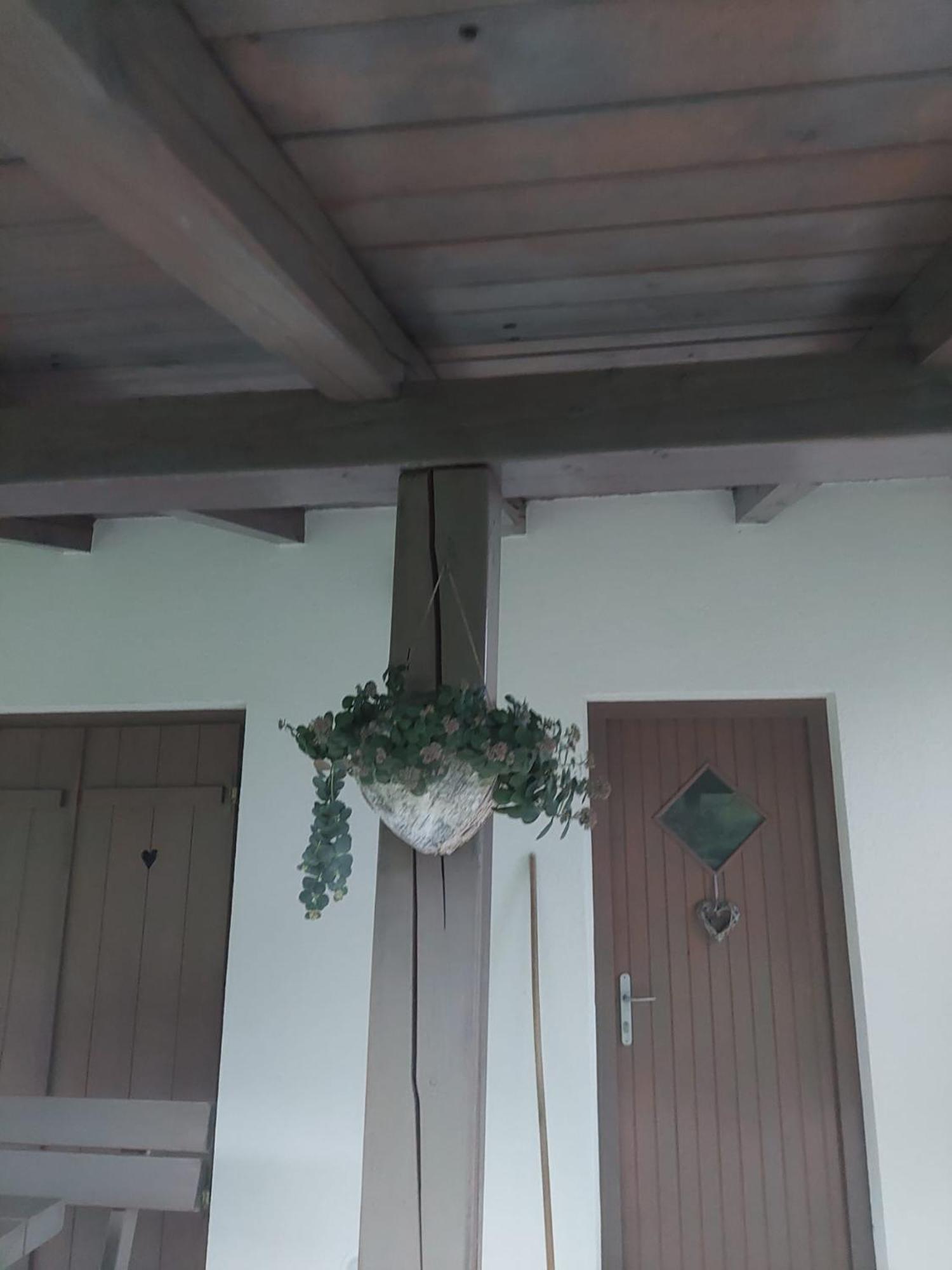 Vineyard Cottage Klemencic Ново-Место Экстерьер фото
