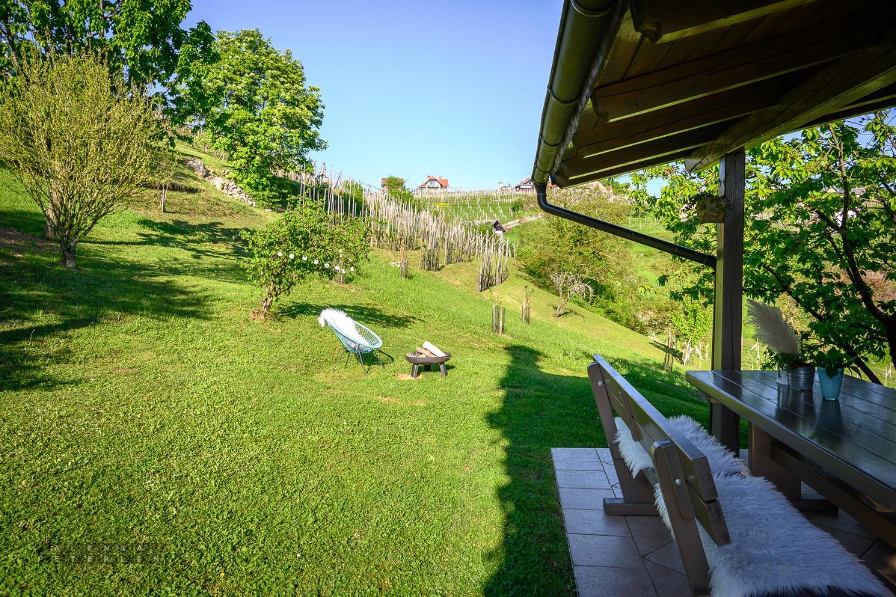 Vineyard Cottage Klemencic Ново-Место Экстерьер фото