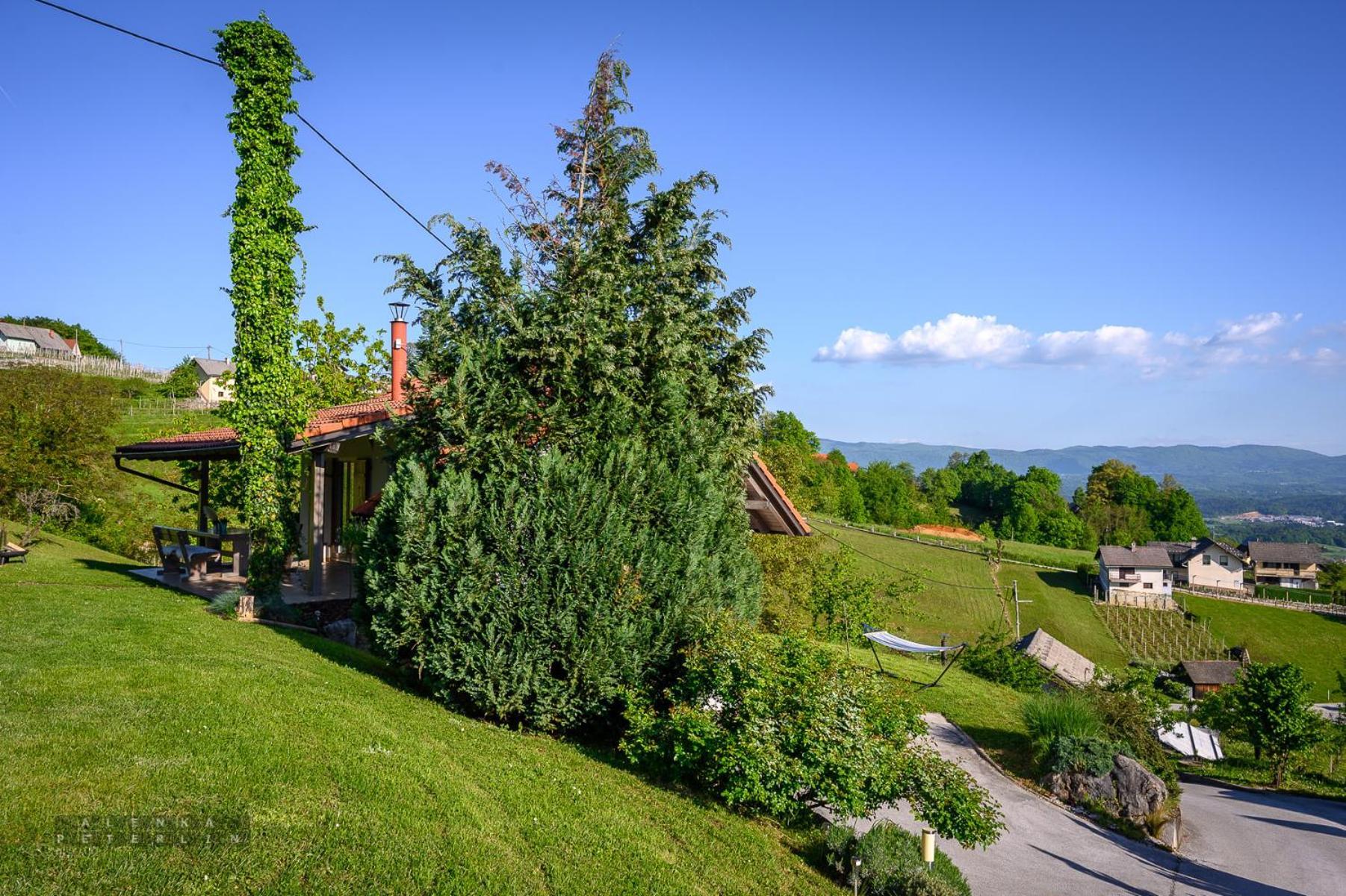 Vineyard Cottage Klemencic Ново-Место Экстерьер фото