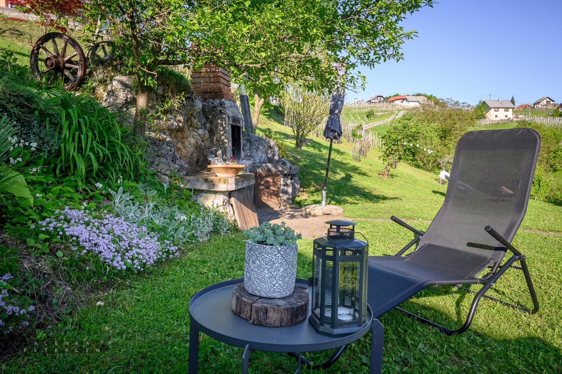 Vineyard Cottage Klemencic Ново-Место Экстерьер фото