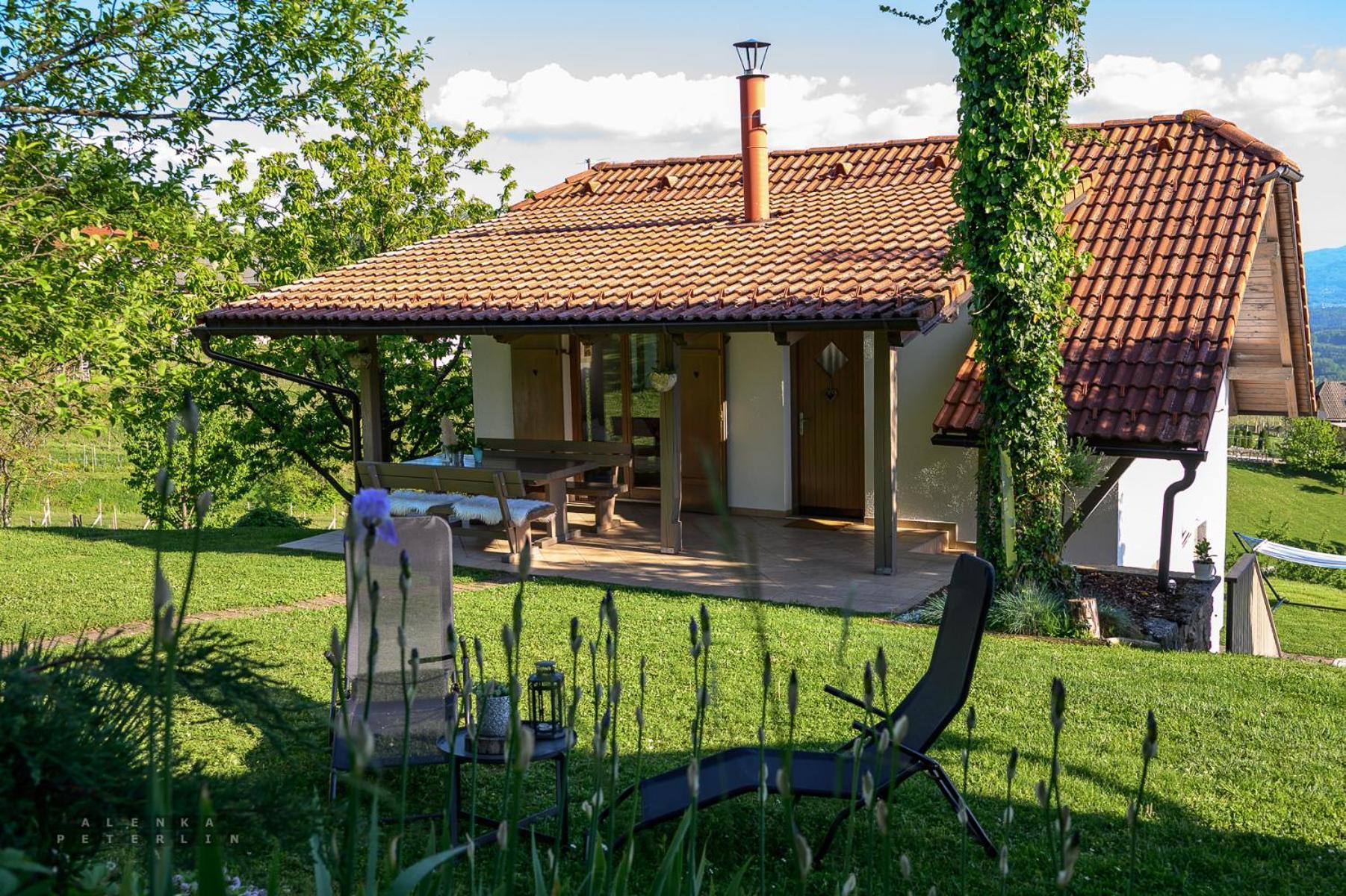 Vineyard Cottage Klemencic Ново-Место Экстерьер фото