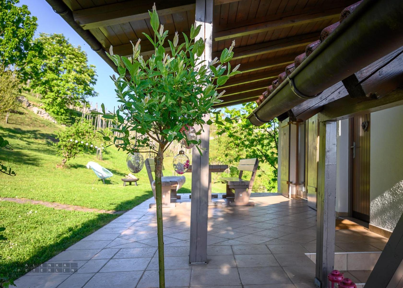 Vineyard Cottage Klemencic Ново-Место Экстерьер фото